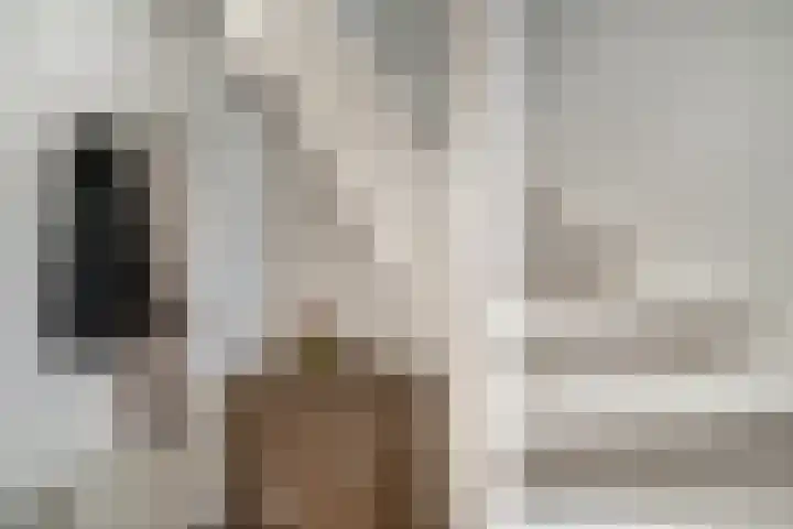 Wilhelminastraat 2 a Duiven thumbnail 12