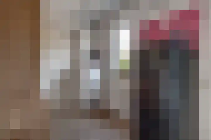 Wilhelminastraat 2 a Duiven thumbnail 18