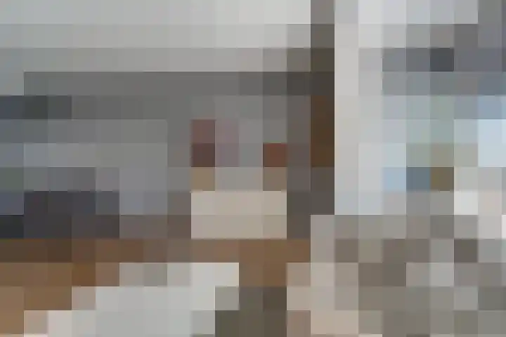Wilhelminastraat 2 a Duiven thumbnail 24