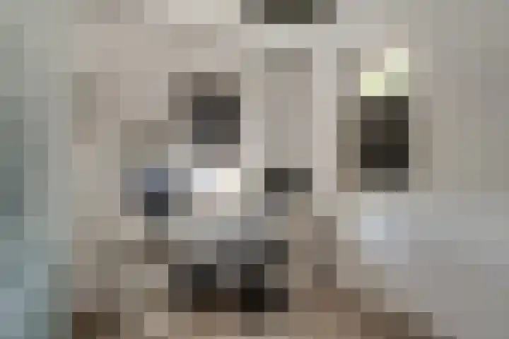 Wilhelminastraat 2 a Duiven thumbnail 25