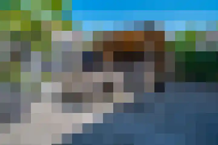 Wilhelminastraat 2 a Duiven thumbnail 26