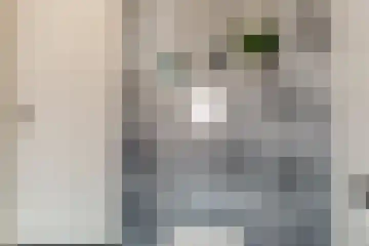 Wilhelminastraat 2 a Duiven thumbnail 35