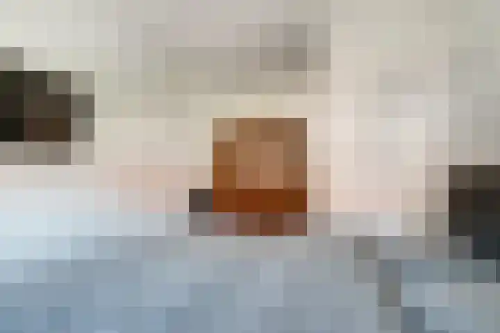Wilhelminastraat 2 a Duiven thumbnail 39