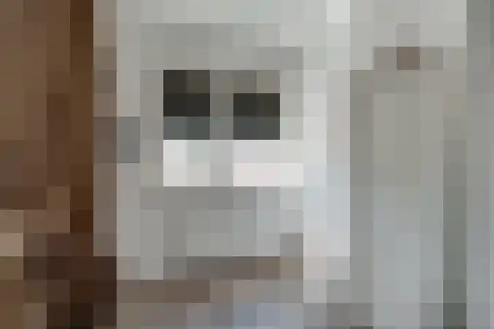 Wilhelminastraat 2 a Duiven thumbnail 40