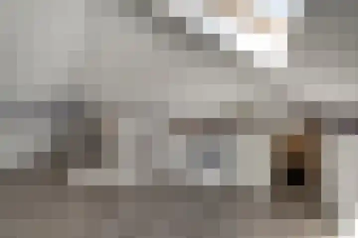 Wilhelminastraat 2 a Duiven thumbnail 44
