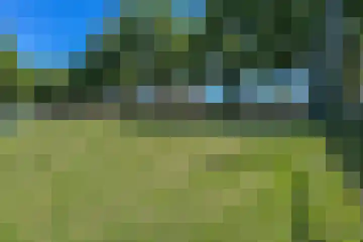 Wilhelminastraat 2 a Duiven thumbnail 45