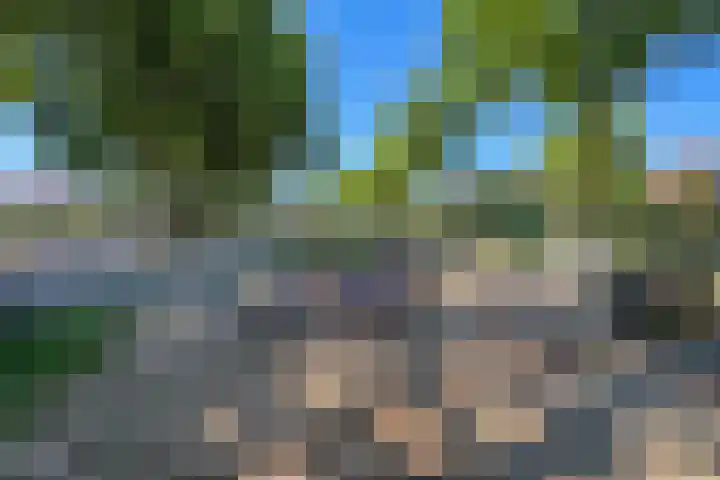 Wilhelminastraat 2 a Duiven thumbnail 46
