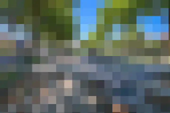 Wilhelminastraat 2 a Duiven thumbnail 47