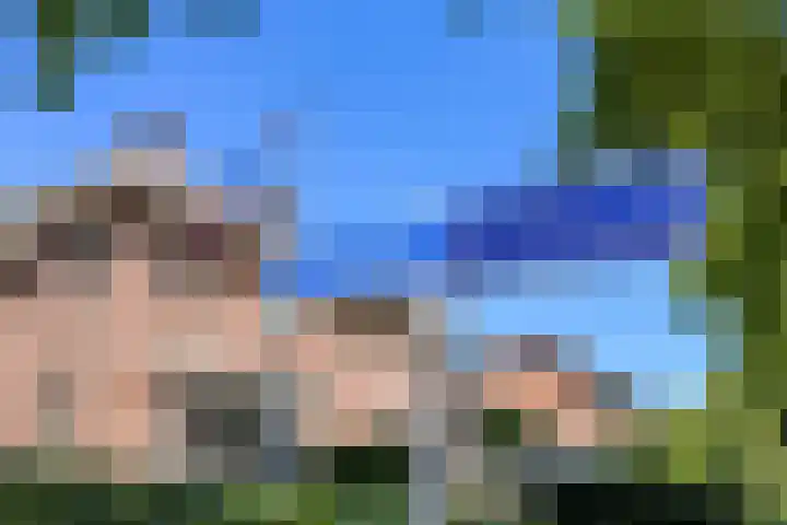 Wilhelminastraat 2 a Duiven thumbnail 48