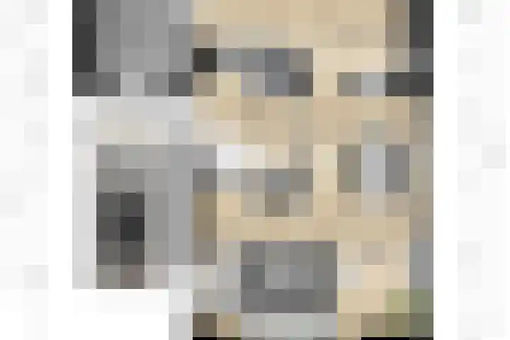 Wilhelminastraat 2 a Duiven thumbnail 49