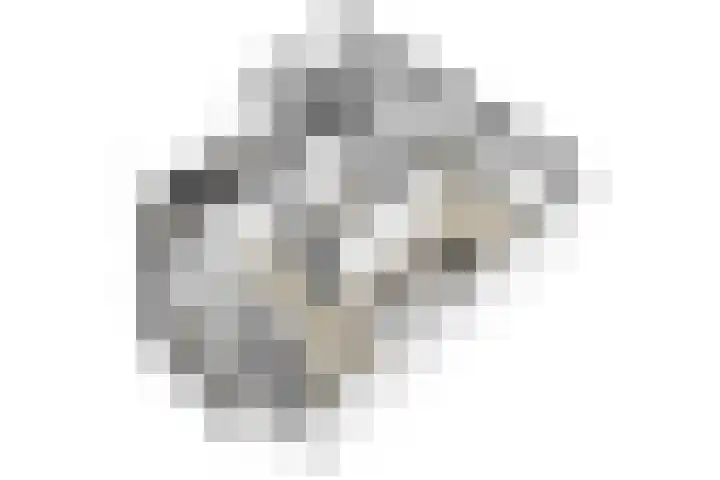 Wilhelminastraat 2 a Duiven thumbnail 50