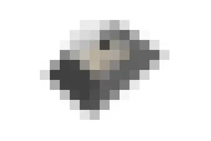 Wilhelminastraat 2 a Duiven thumbnail 54