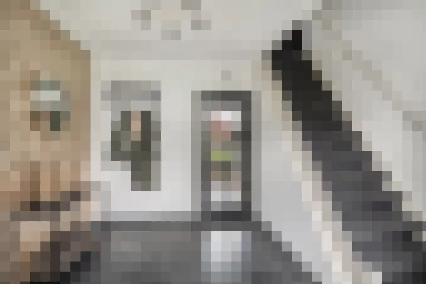 Wilhelminastraat 2 Berlicum thumbnail 13