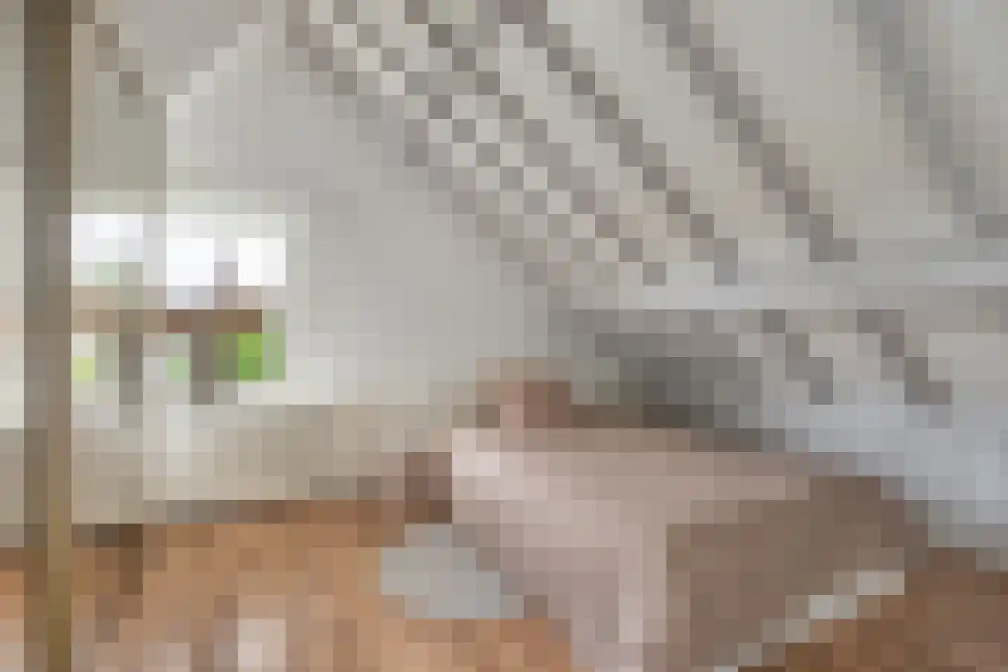 Wilhelminastraat 2 Berlicum thumbnail 17