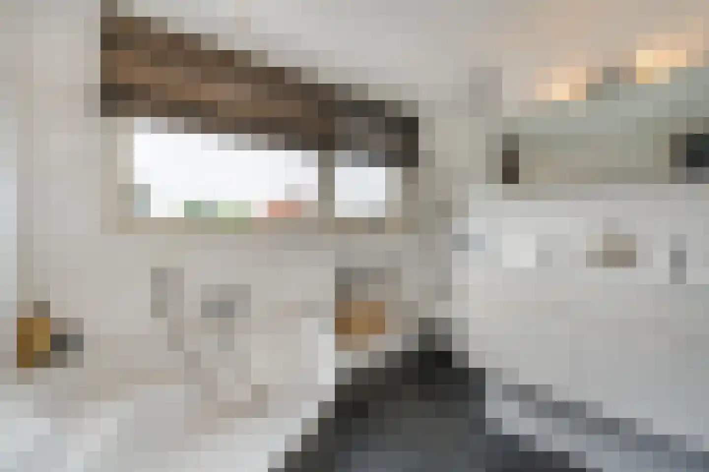 Wilhelminastraat 2 Berlicum thumbnail 19