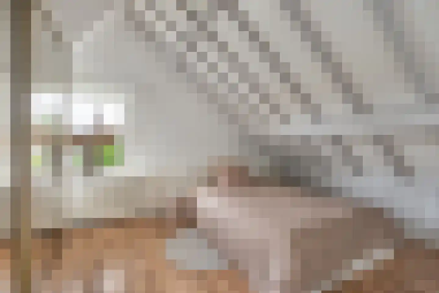 Wilhelminastraat 2 Berlicum thumbnail 23