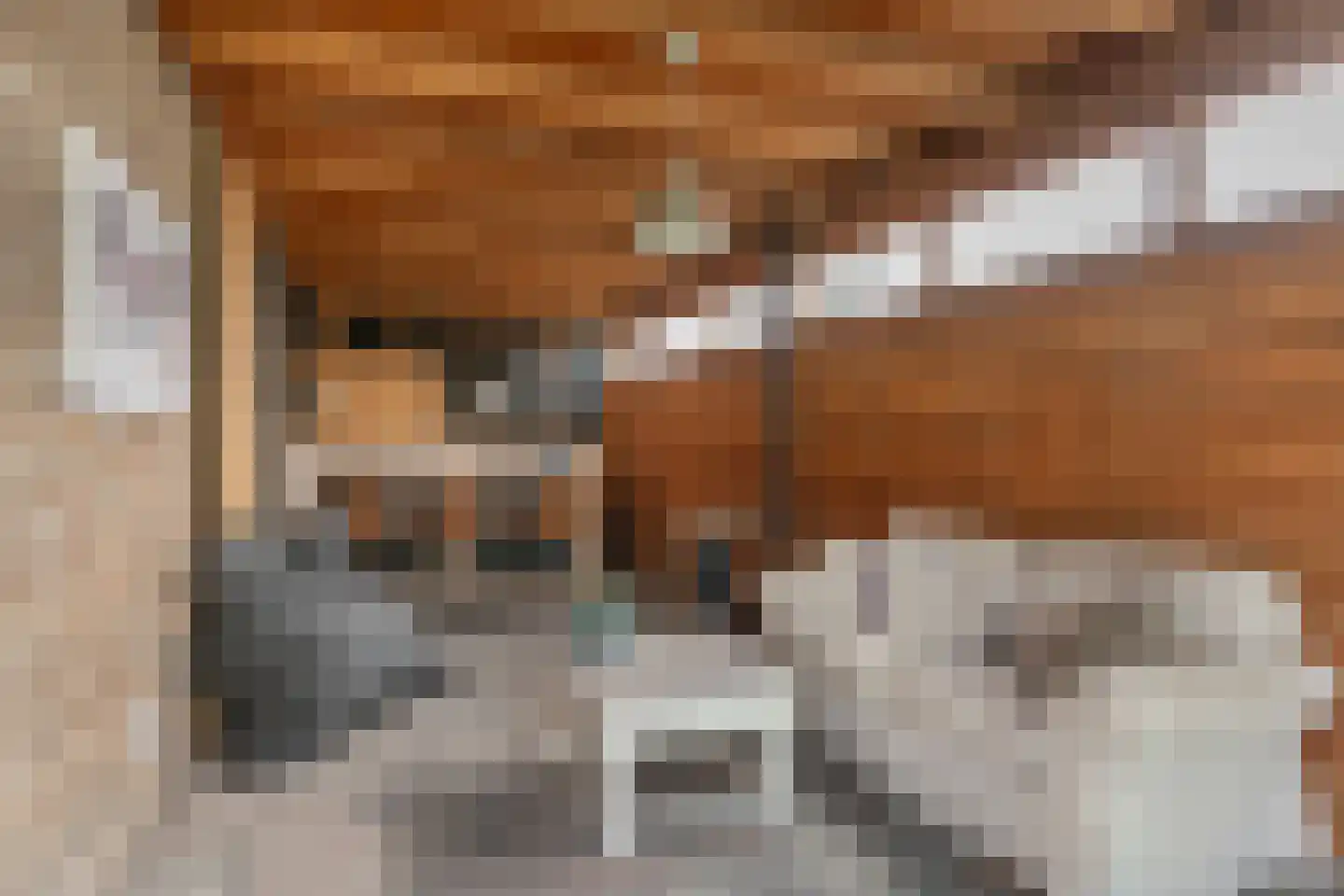 Wilhelminastraat 2 Berlicum thumbnail 26