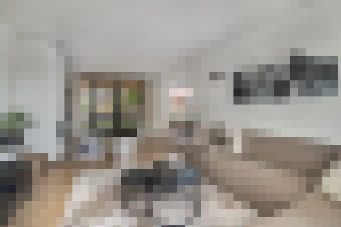 Wilhelminastraat 2 Berlicum thumbnail 4