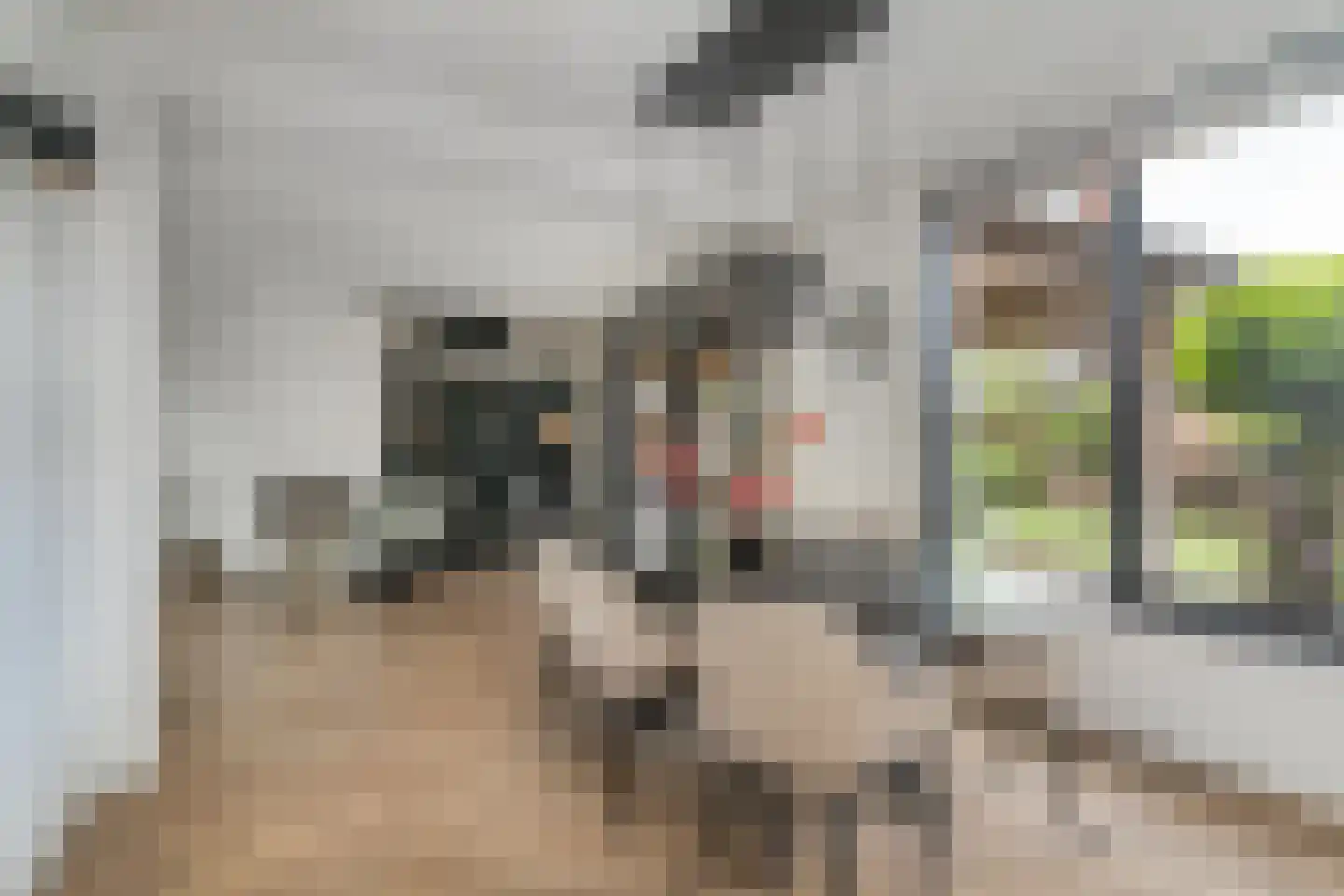 Wilhelminastraat 2 Berlicum thumbnail 7