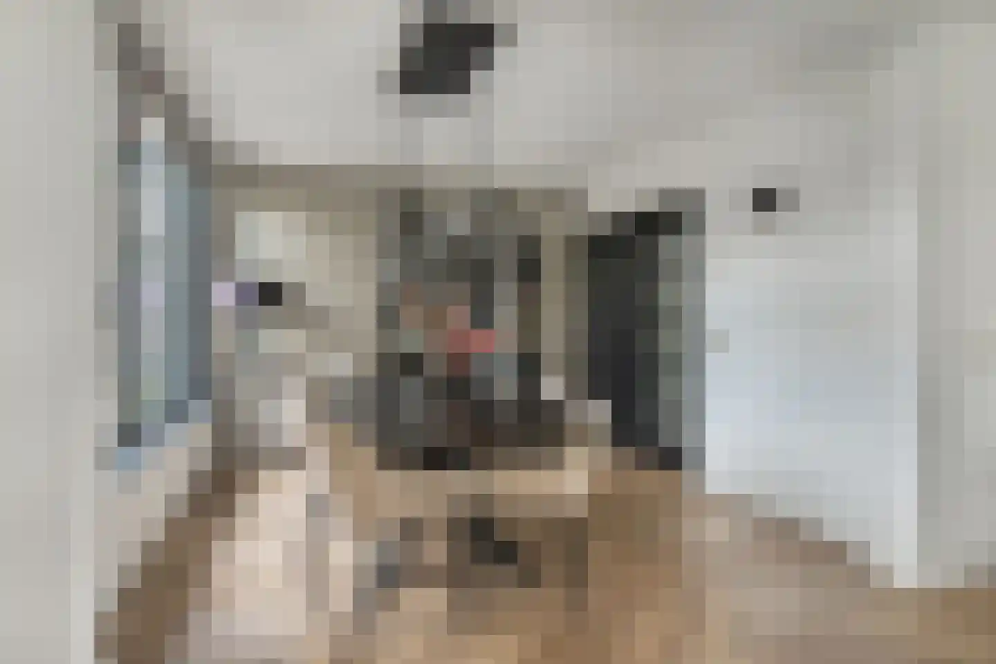 Wilhelminastraat 2 Berlicum thumbnail 8