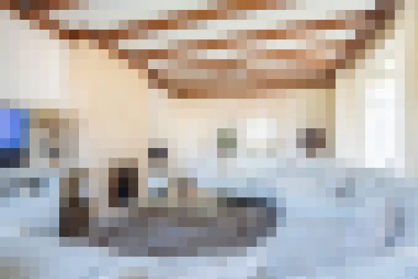 Wilhelminastraat 2 Didam thumbnail 12