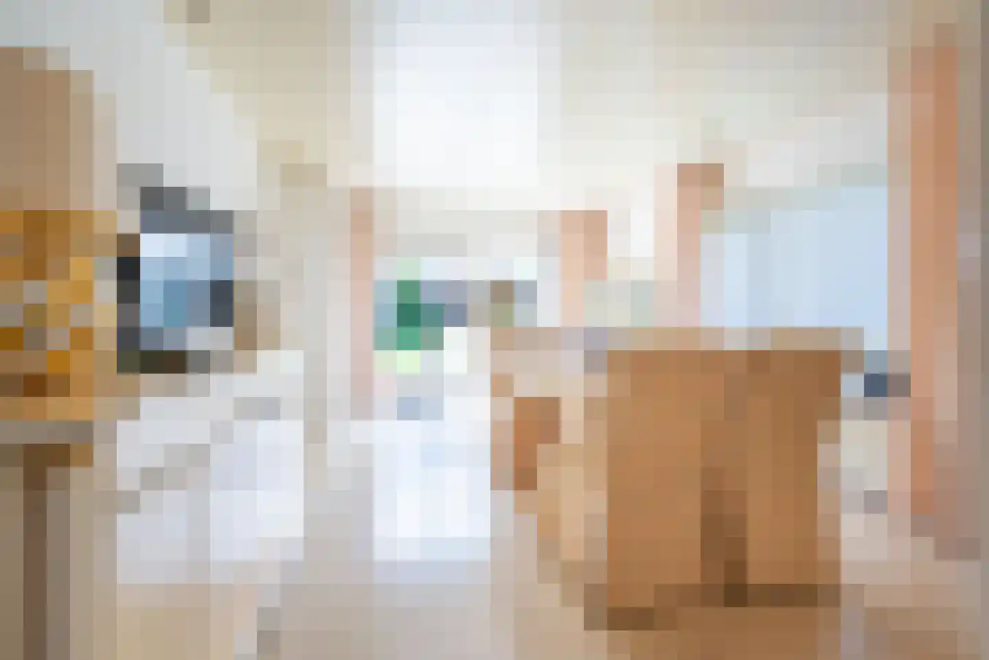 Wilhelminastraat 2 Didam thumbnail 14