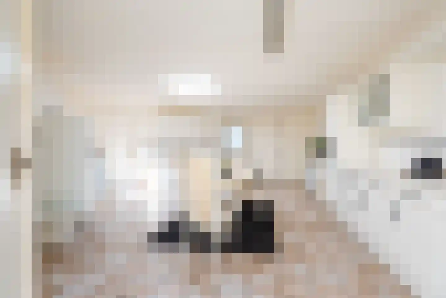 Wilhelminastraat 2 Didam thumbnail 20