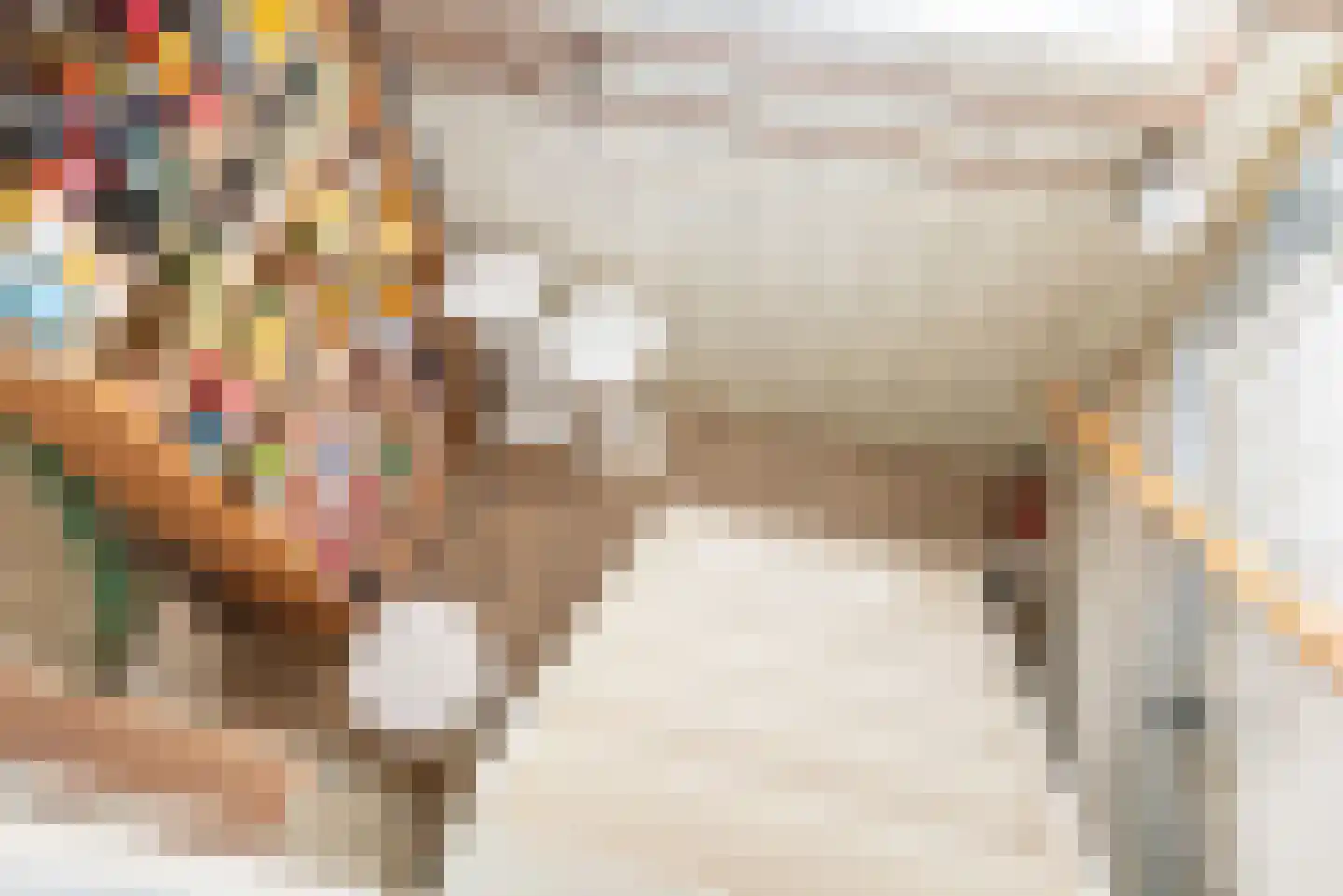 Wilhelminastraat 2 Didam thumbnail 21
