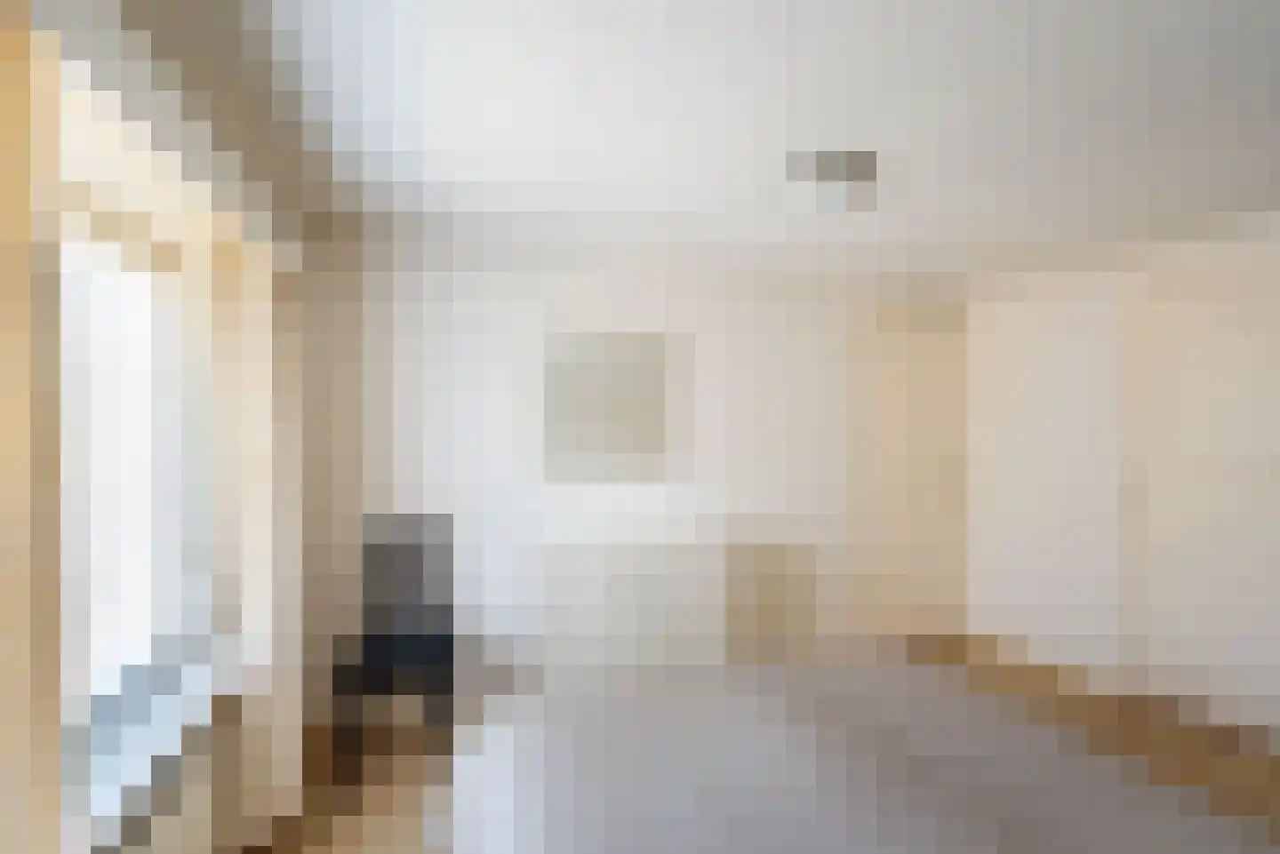 Wilhelminastraat 2 Didam thumbnail 25