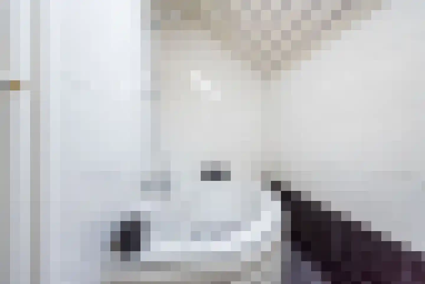 Wilhelminastraat 2 Didam thumbnail 30