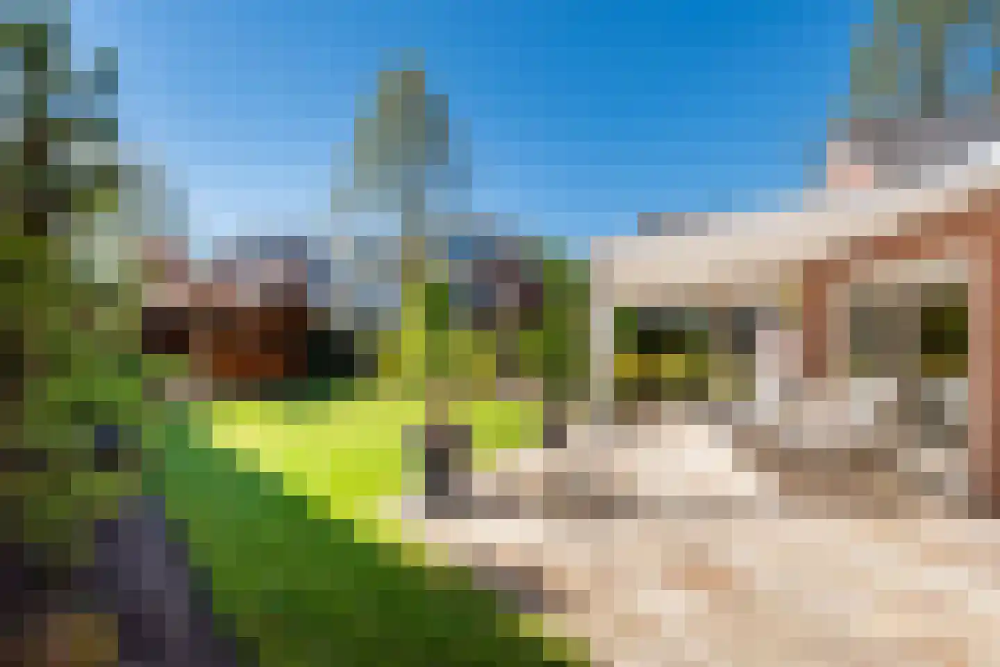 Wilhelminastraat 2 Didam thumbnail 32