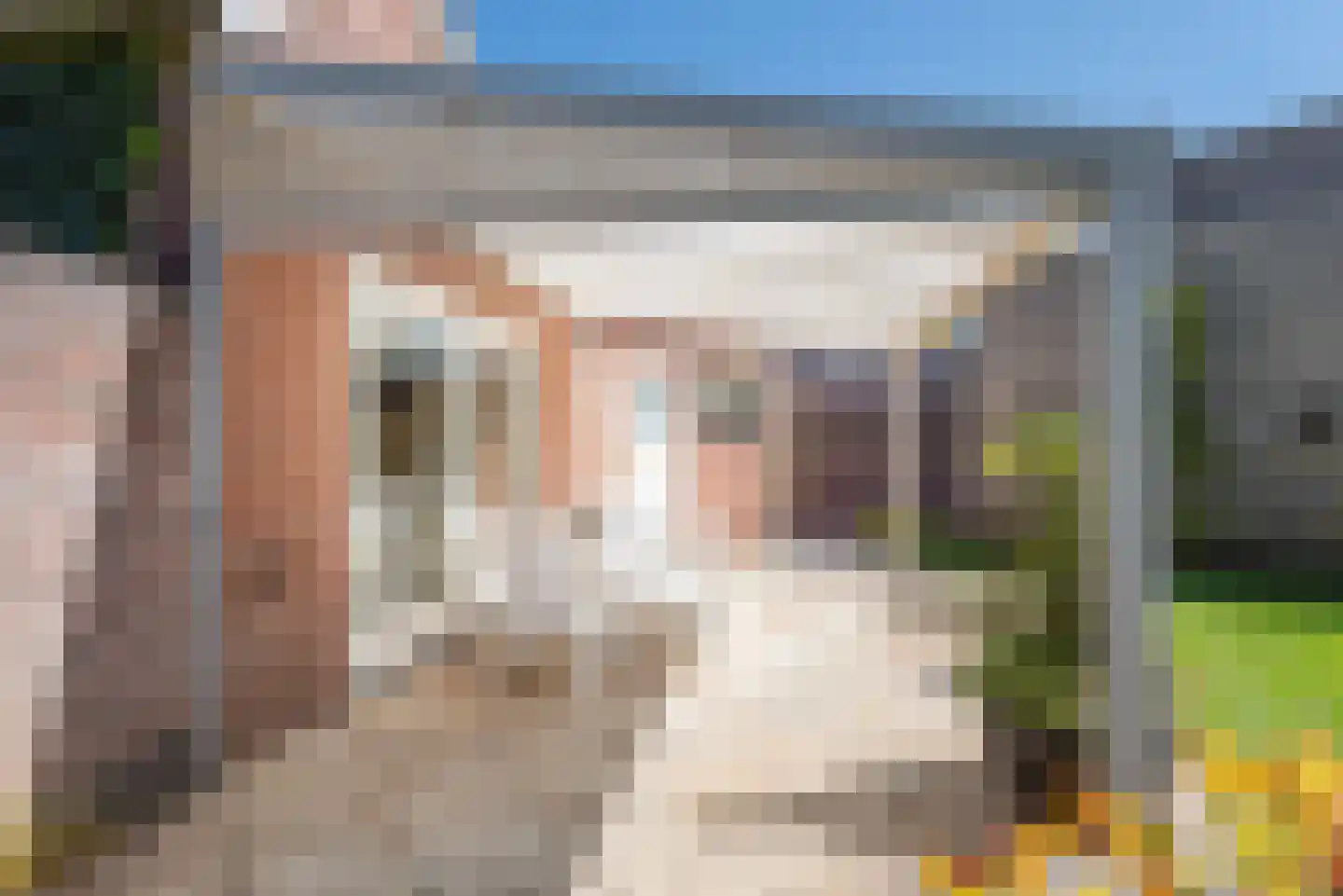 Wilhelminastraat 2 Didam thumbnail 33