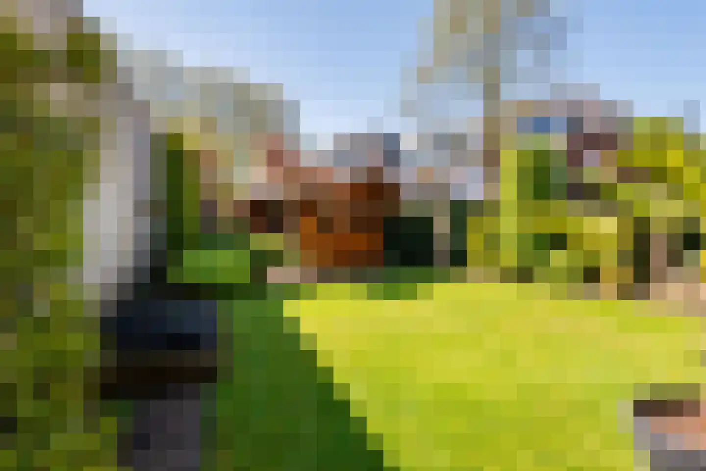 Wilhelminastraat 2 Didam thumbnail 34