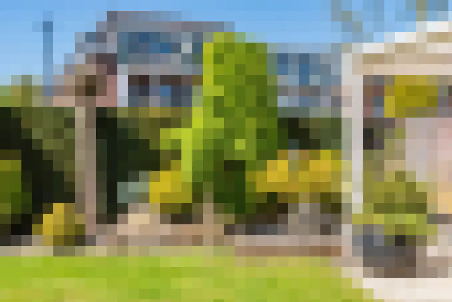 Wilhelminastraat 2 Didam thumbnail 35