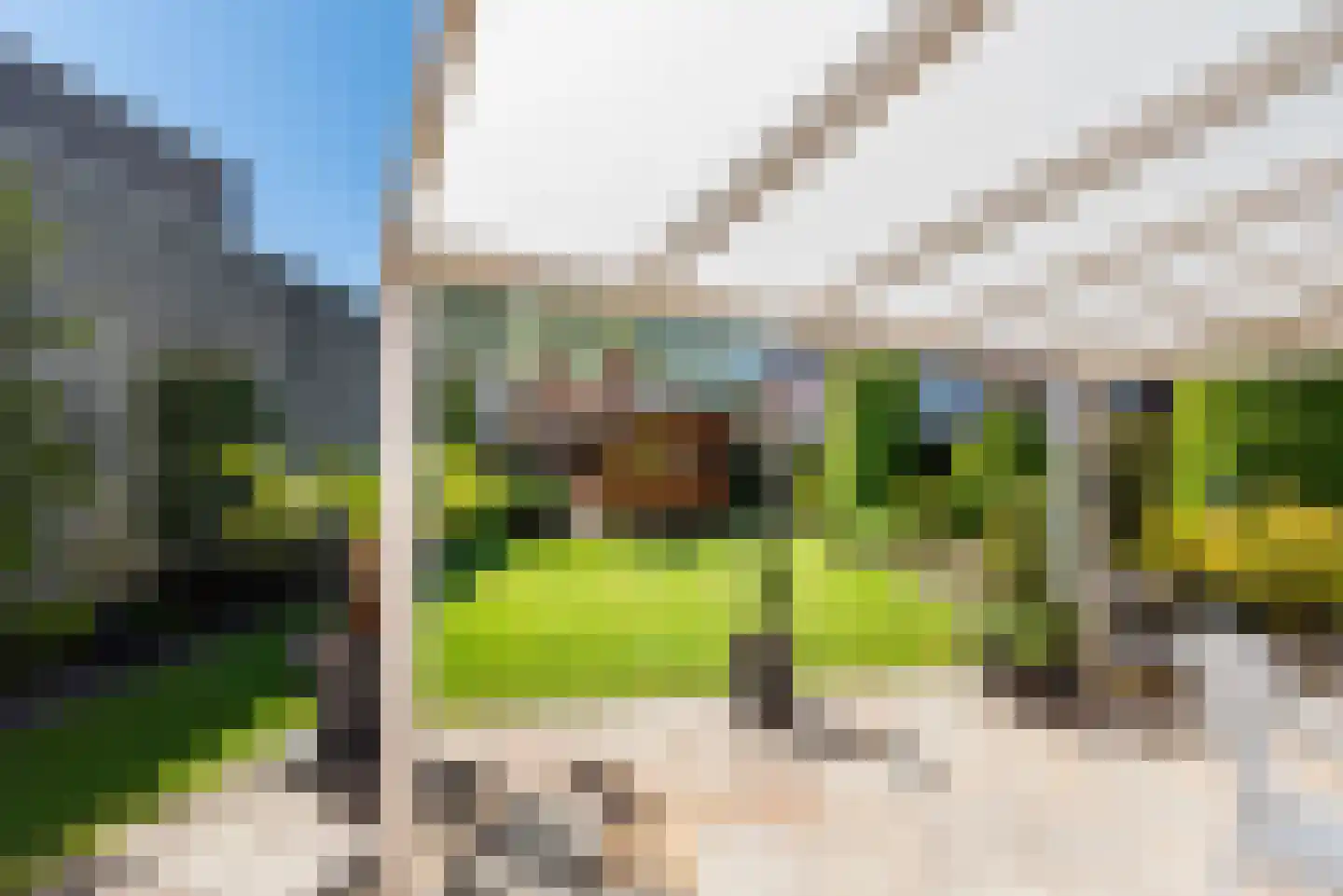 Wilhelminastraat 2 Didam thumbnail 36