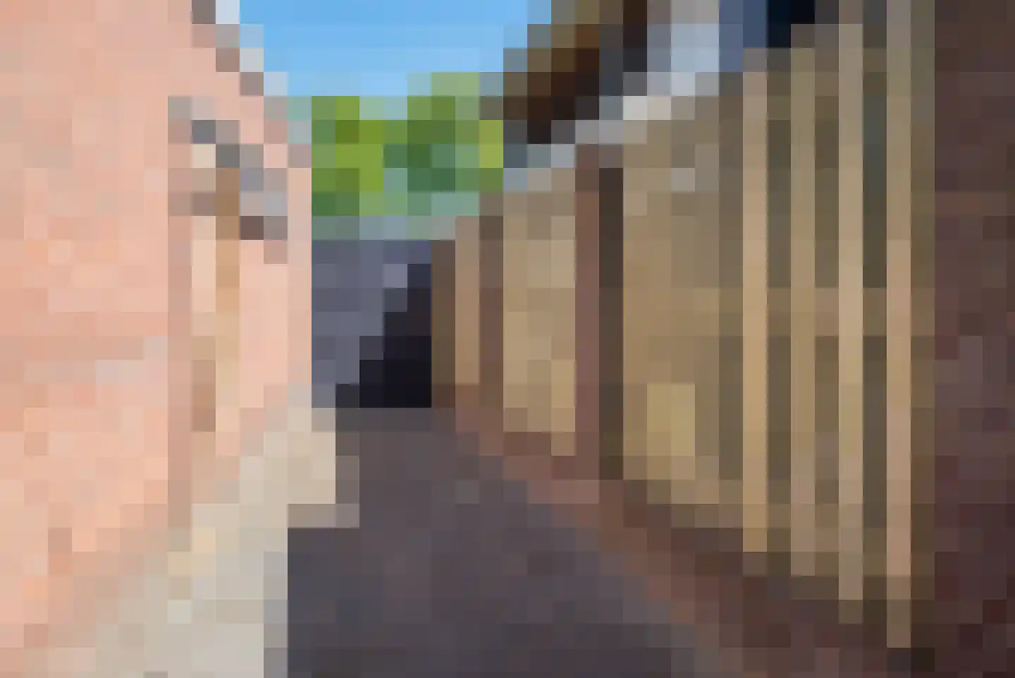 Wilhelminastraat 2 Didam thumbnail 37