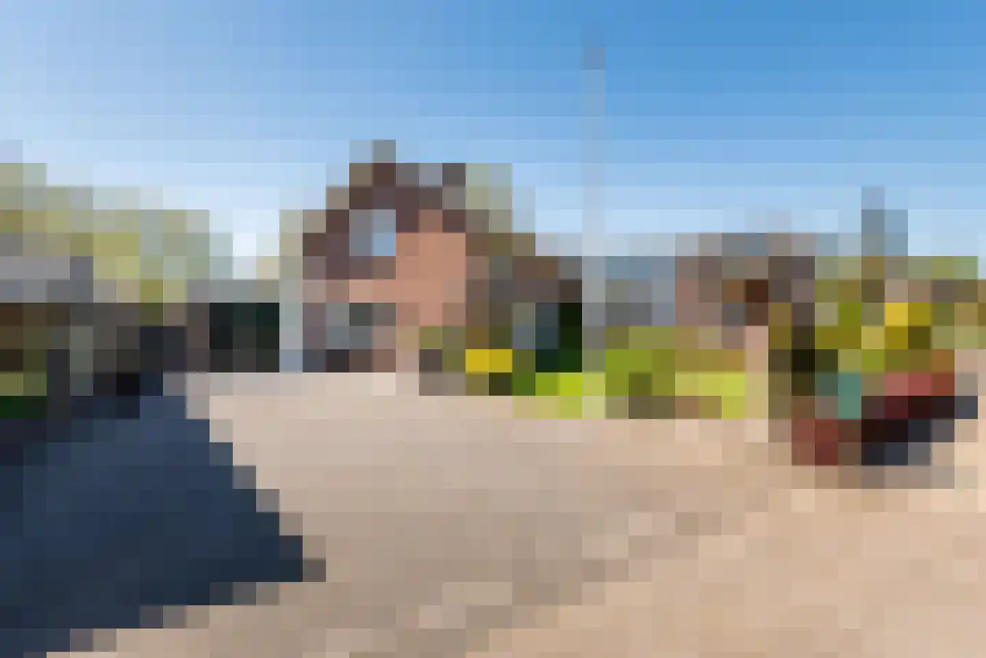 Wilhelminastraat 2 Didam thumbnail 41
