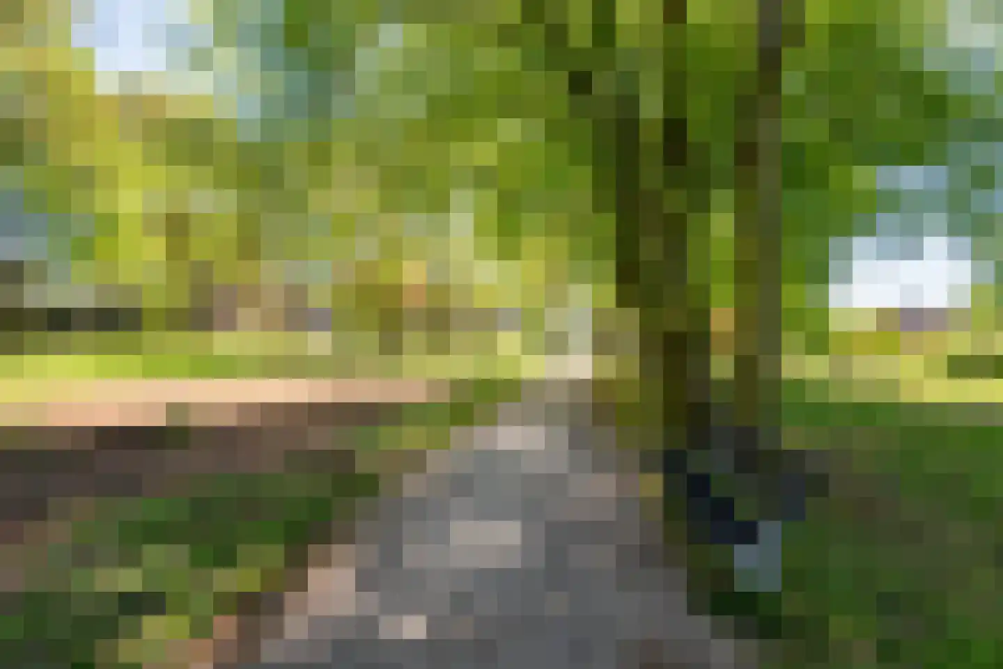 Wilhelminastraat 2 Didam thumbnail 43
