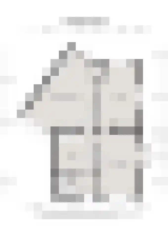 Wilhelminastraat 2 Didam thumbnail 47