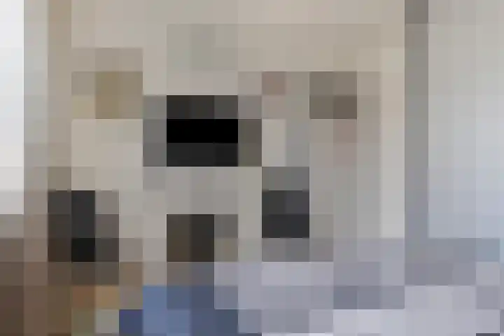 Wilhelminastraat 2 Hoek thumbnail 12