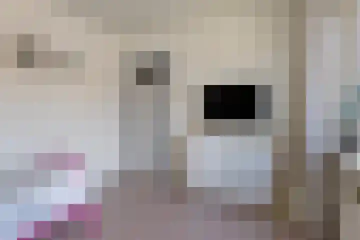 Wilhelminastraat 2 Hoek thumbnail 13