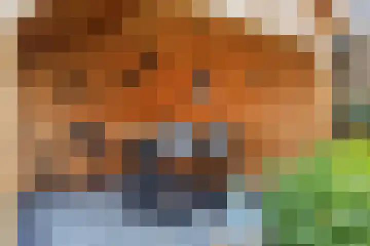 Wilhelminastraat 2 Hoek thumbnail 25