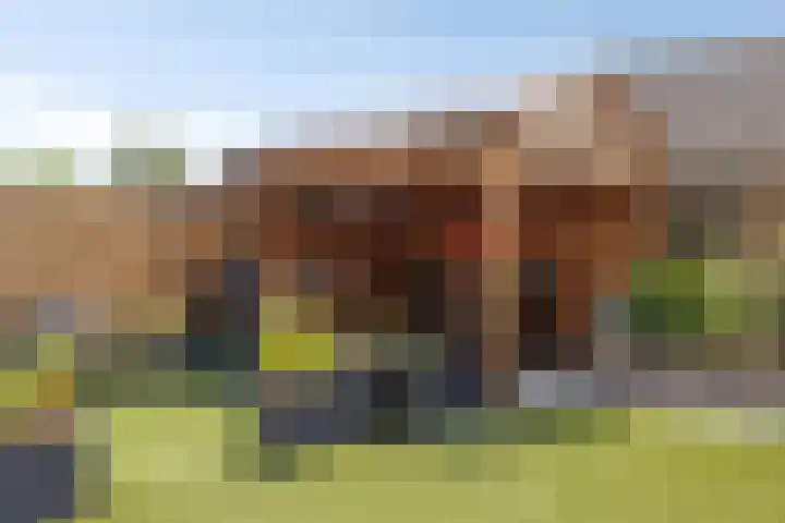 Wilhelminastraat 2 Hoek thumbnail 26
