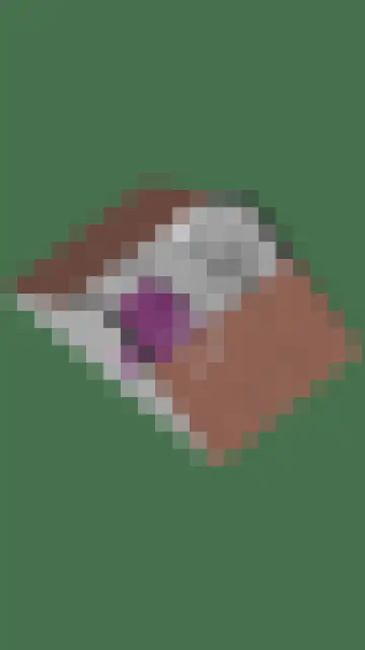Wilhelminastraat 2 Lichtenvoorde thumbnail 33