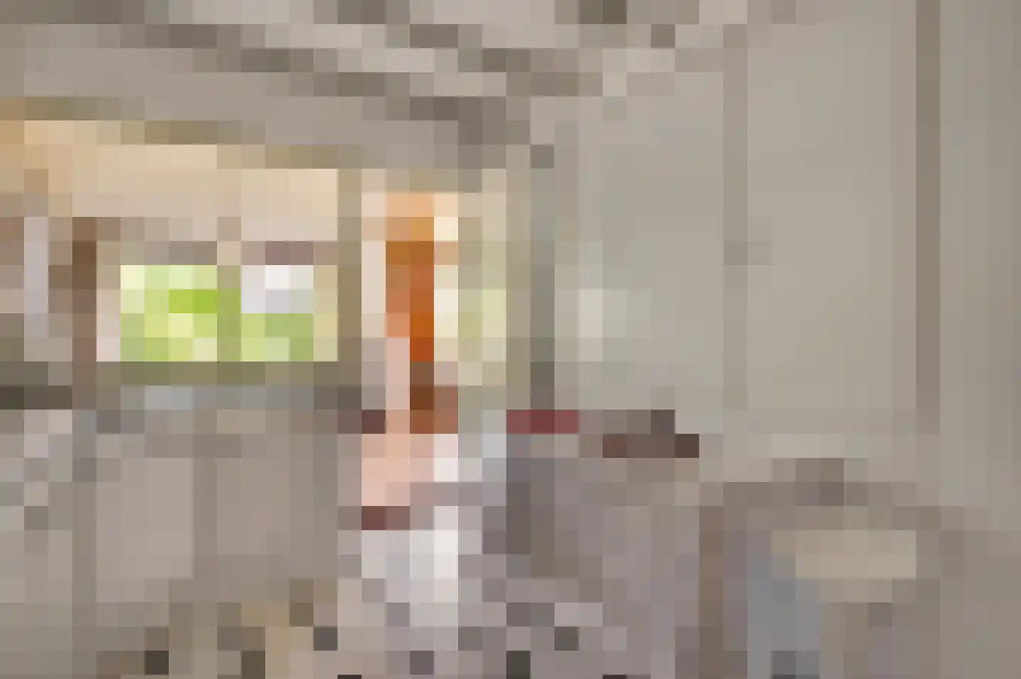 Wilhelminastraat 2 Melick thumbnail 14