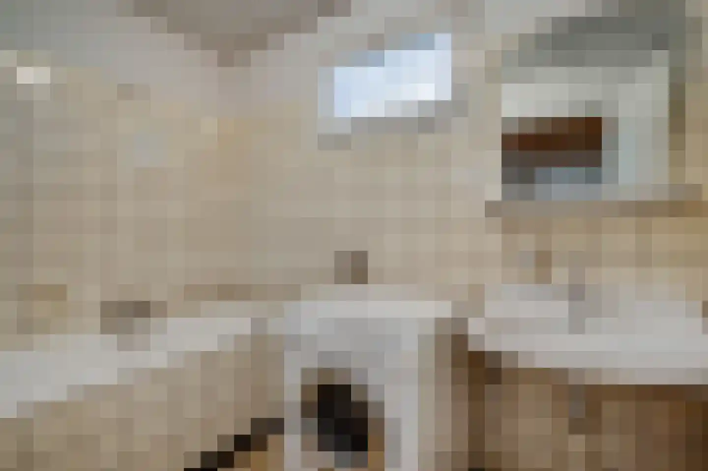 Wilhelminastraat 2 Melick thumbnail 21