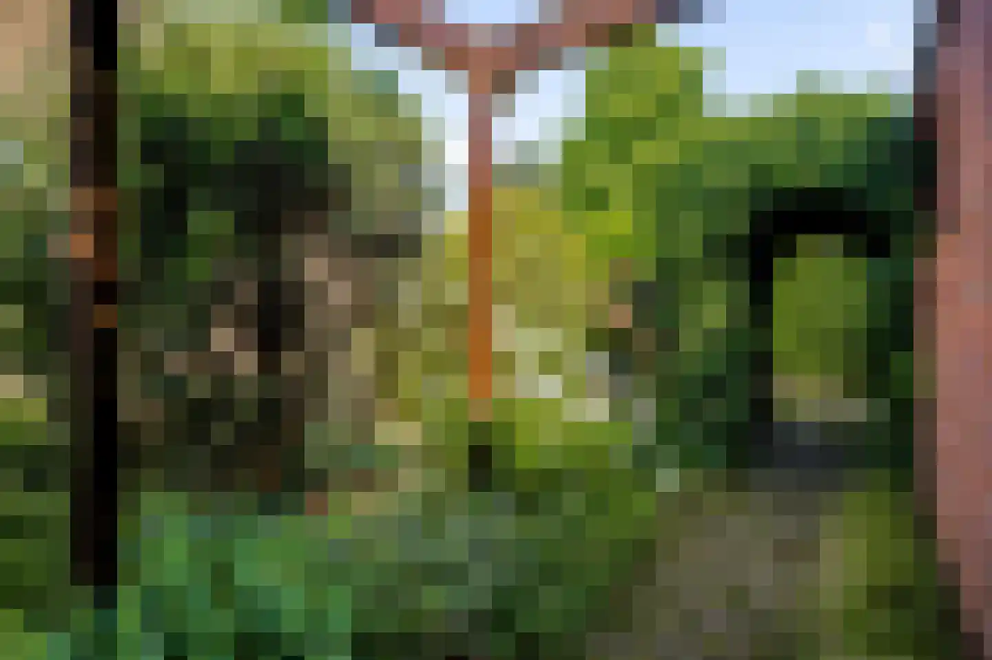 Wilhelminastraat 2 Melick thumbnail 28