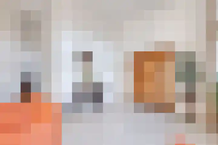 Wilhelminastraat 2 Rhoon thumbnail 11