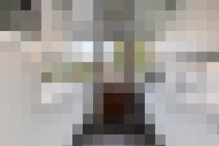 Wilhelminastraat 2 Rhoon thumbnail 13