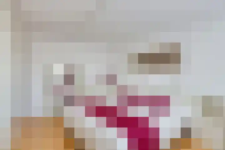 Wilhelminastraat 2 Rhoon thumbnail 17